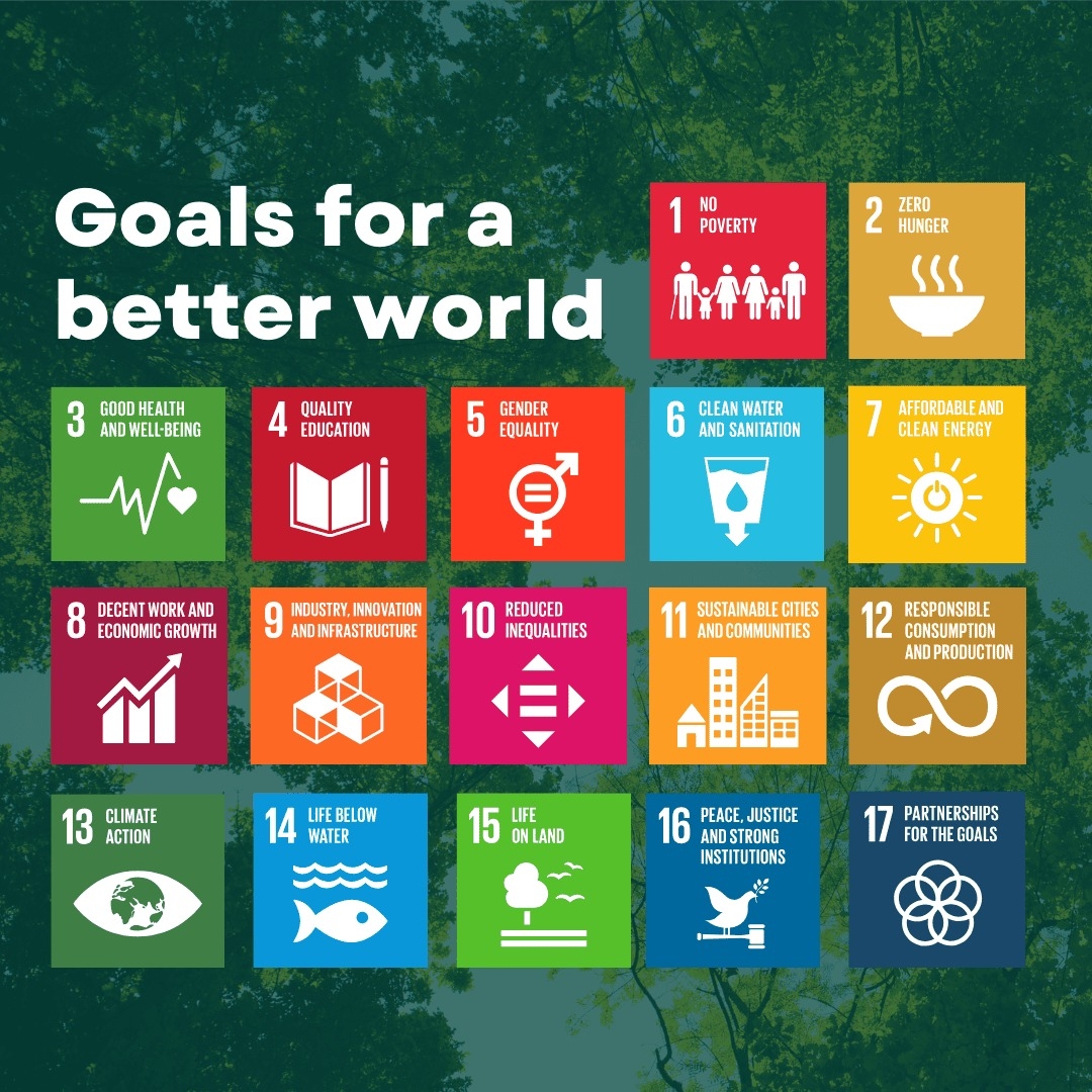 Sustainable Development Goals (SDG)